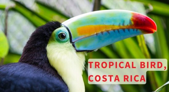 5 International Spots to Must-Visit With Kids