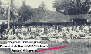 Program Transmigrasi