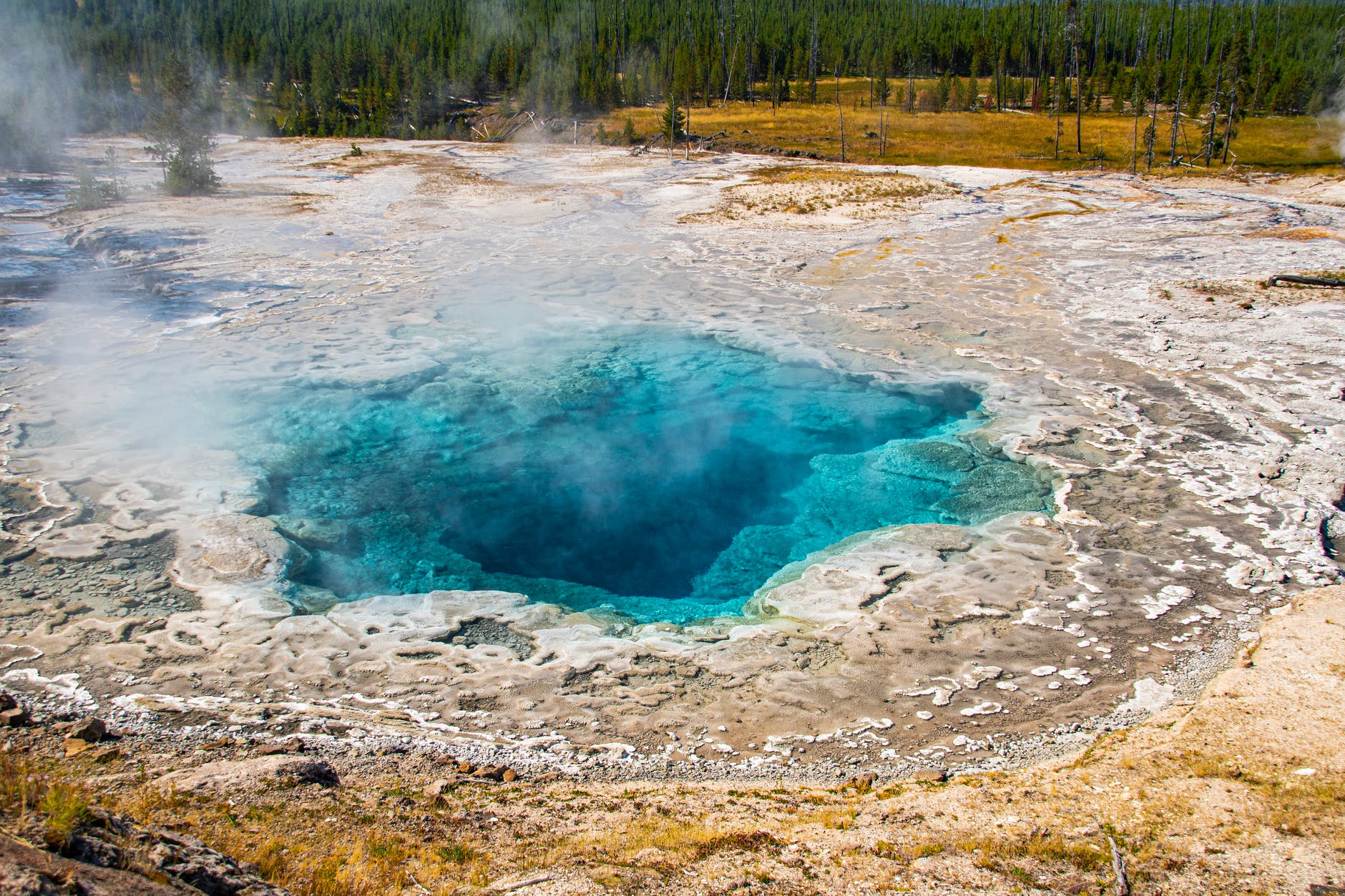 the artemisia geyser in yellowstone park