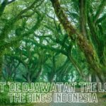 Want to Vacation to Banyuwangi