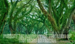 Want to Vacation to Banyuwangi