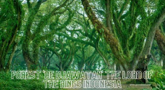 Want to Vacation to Banyuwangi