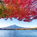 family experiences in Japan