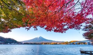 family experiences in Japan
