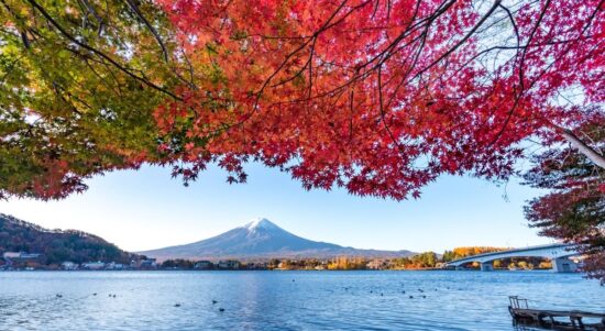 family experiences in Japan