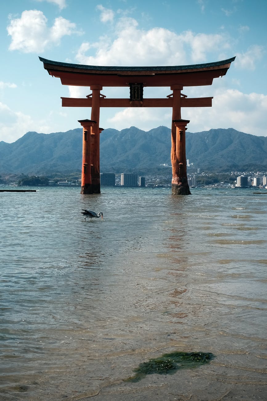pillars of gate in the water
