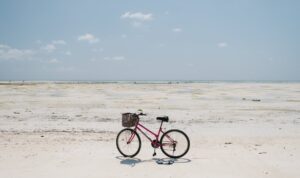 bicycle parked on vast sandy shore of endless sea