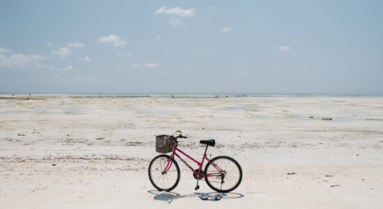 pexels-photo-7293099 bicycle parked on vast sandy shore of endless sea