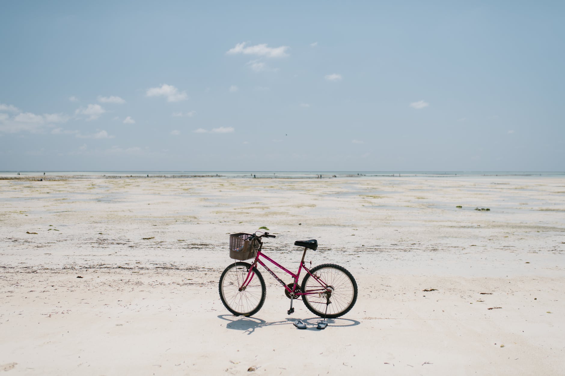 bicycle parked on vast sandy shore of endless sea