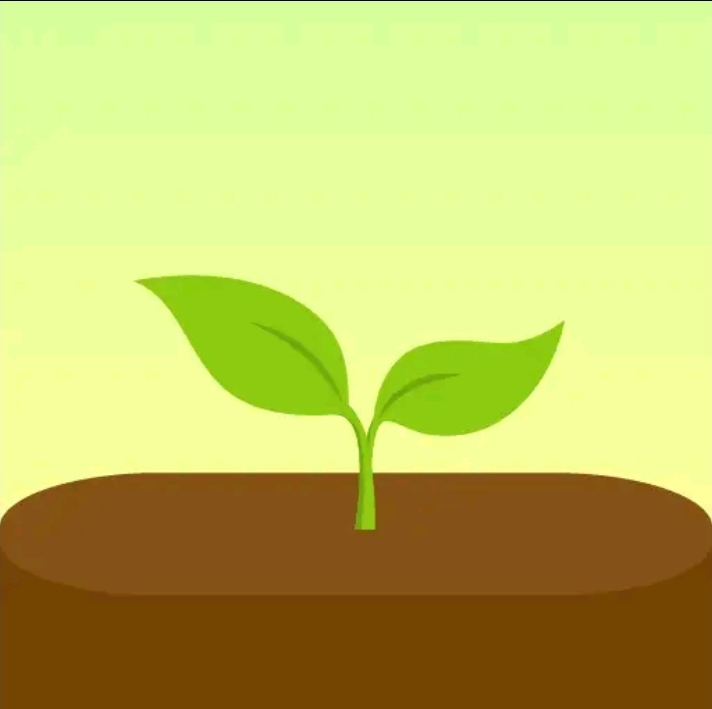 Forest Aplikasi produktif untuk pelajar