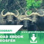 ebook biosfer