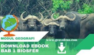 ebook biosfer