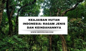 jenis hutan di indonesia