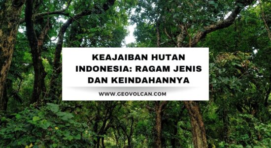 jenis hutan di indonesia