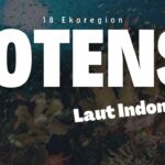 18 ekoregion indonesia