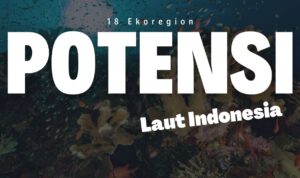 18 ekoregion indonesia