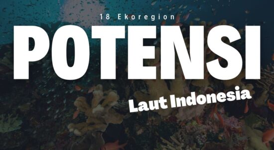 18 ekoregion indonesia