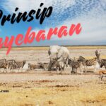 Prinsip Penyebaran