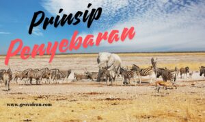 Prinsip Penyebaran