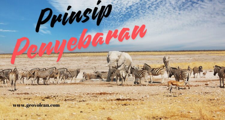 Prinsip Penyebaran