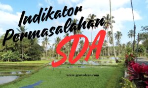 indikator permasalahan SDA