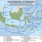 18 ekoregion indonesia